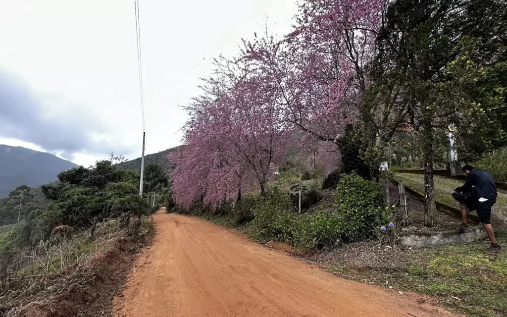 Bosque das Cerejeiras, Pedra Azul em Domingos Martins