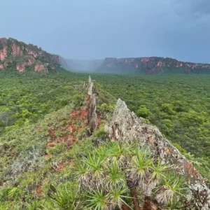 Chapada dos Guimarães