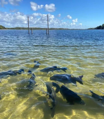 Lagoa dos Tambaquis