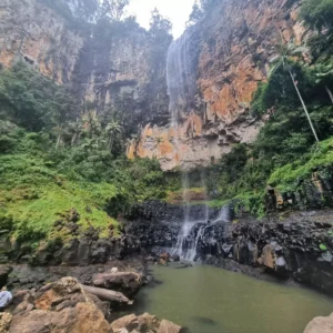 Springbrook National Park,