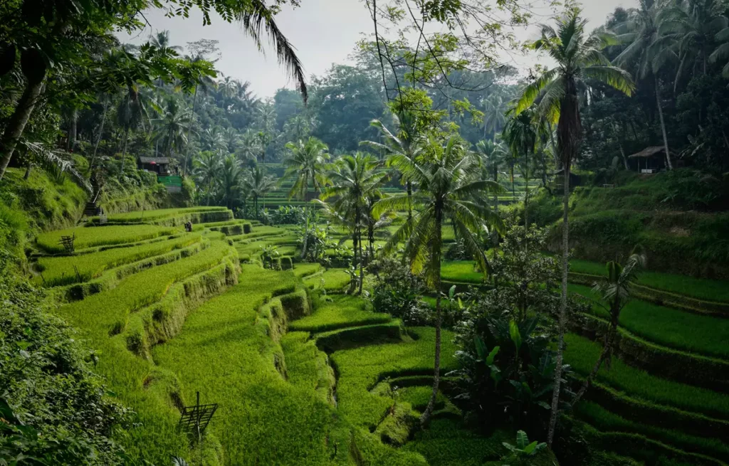 Bali 
Quanto Custa Viajar a Ilha de Bali na Indonésia