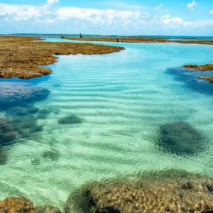 Porto de Galinhas