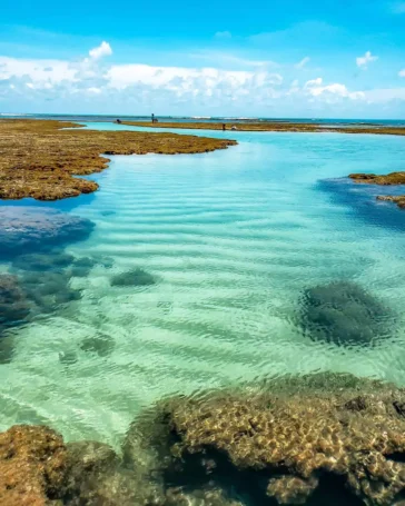 Porto de Galinhas