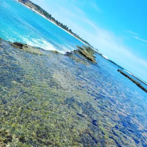 Praia de Calhetas em Pernambuco