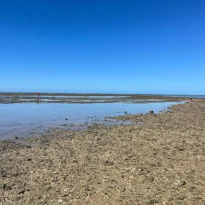 Praia de Coroa Vermelha