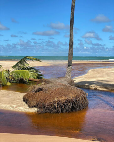 São Miguel dos Milagres