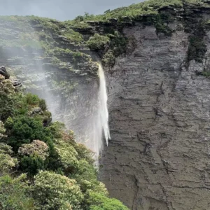 Foto: cactos_chapada