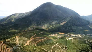 Pedra da Torre em Brejetuba: Conquistando Alturas no Espetacular Espírito Santo