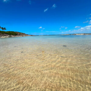 Ilha de Santo Aleixo