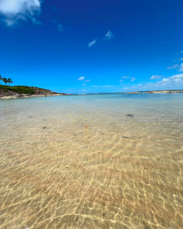 Ilha de Santo Aleixo