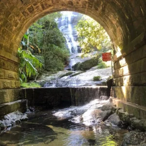 Parque Nacional da Tijuca