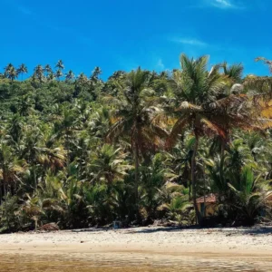 Praia de Jeribucaçu