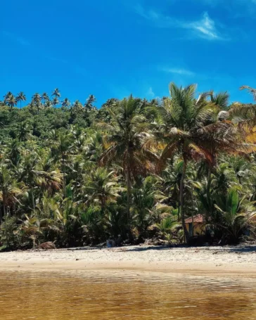 Praia de Jeribucaçu