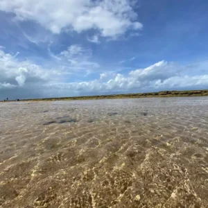 Praia de Muro Alto