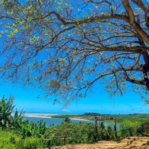 Ilha de Itamaracá