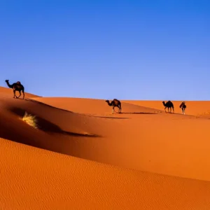 Deserto do Saara