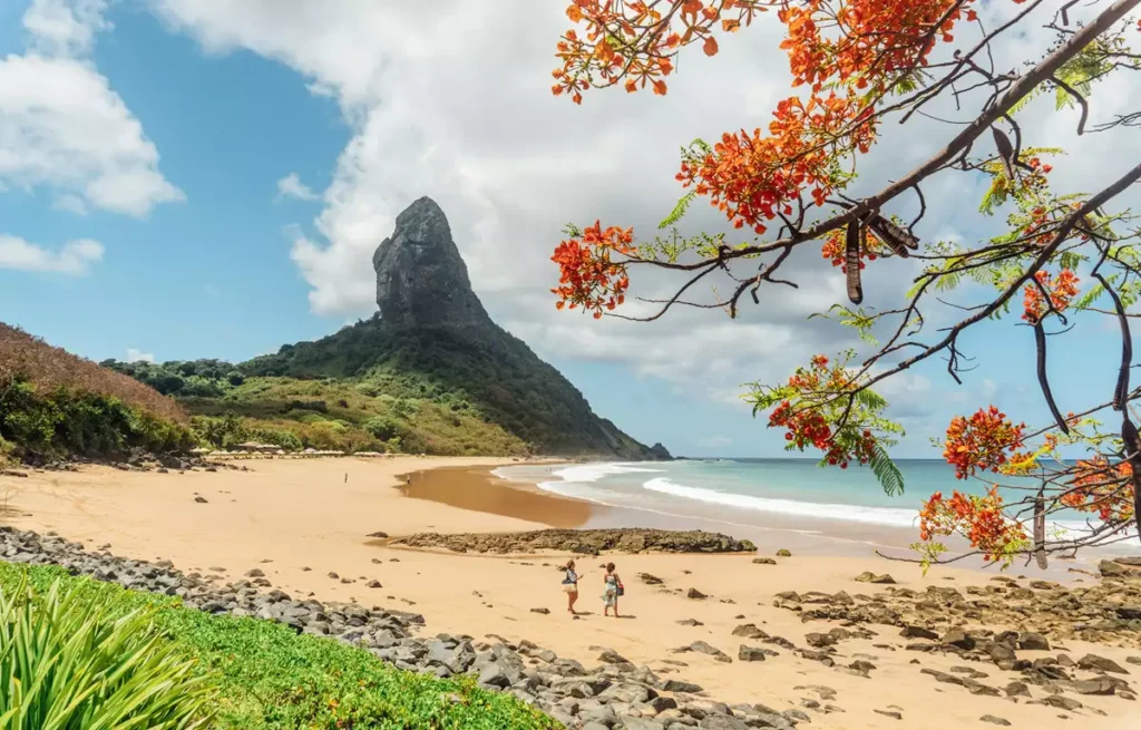 Fernando de Noronha
Pontos imperdíveis para visitar em Fernando de Noronha