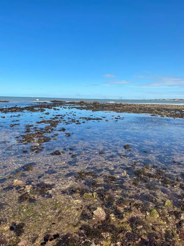 Praia das Pitas