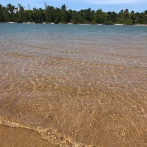 Praia dos Garcez