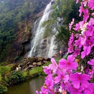 Cachoeira do Furlan,