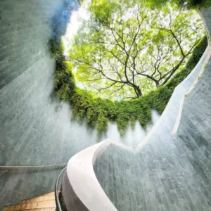 Fort Canning Park Tree Tunnel