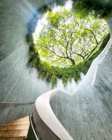 Fort Canning Park Tree Tunnel