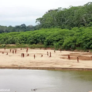 Maior Tribo Isolada do Mundo Mashco Piro