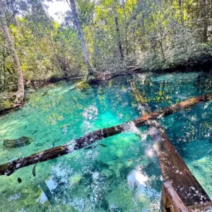 Aquário Encantado em Nobres, Mato Grosso