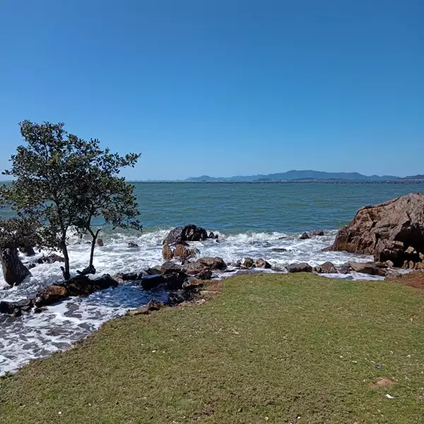 Praia do Cedro
Melhores Praias de São Paulo 