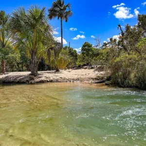 Praia do Pequizeiro