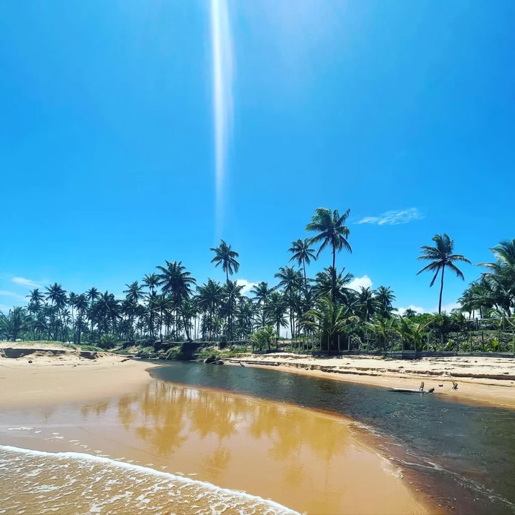 Taipu de Fora
Destinos Paradisíacos para Suas Próximas Férias