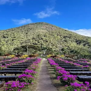 Vale do Amor, em Petrópolis